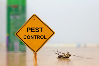 Pest Contol in Shepperton, Upper Halliford, TW17. Call Now 020 8166 9746