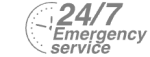 24/7 Emergency Service Pest Control in Shepperton, Upper Halliford, TW17. Call Now! 020 8166 9746